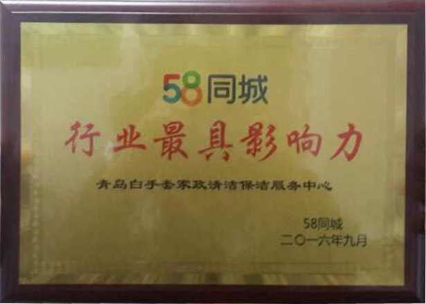 行业最具影响力
